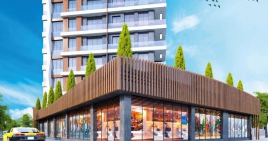 Asfor Kartal Apartments In Kartal 