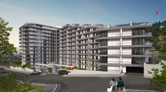 Qadraj Gözdağı at Pendik Istanbul